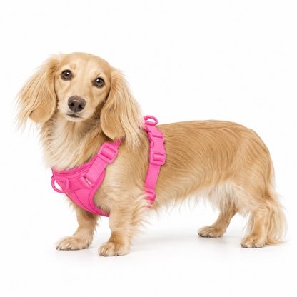 Bright Pink
