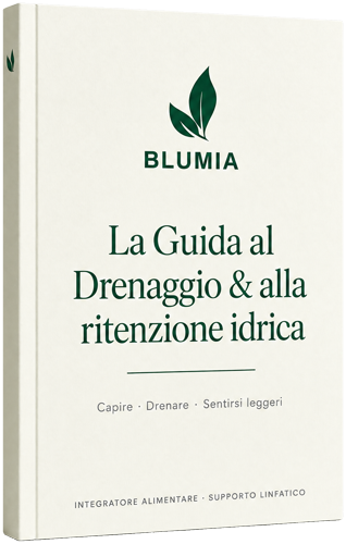 Ebook — Guida al drenaggio e alla ritenzione idrica