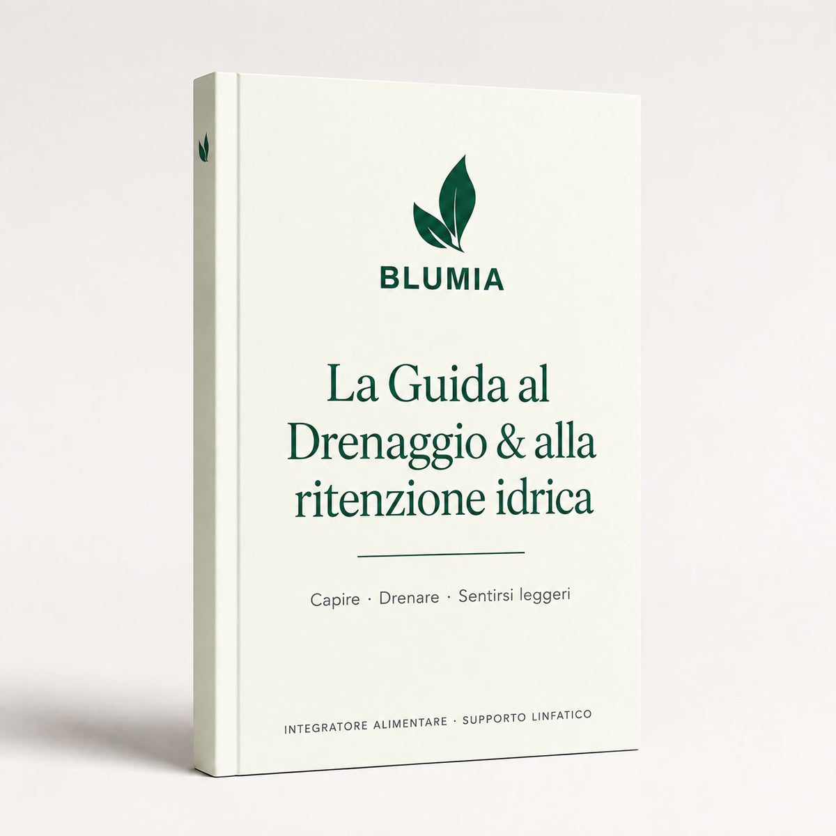 Ebook Guida al drenaggio BLUMIA